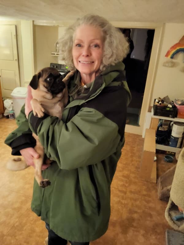 Customer photo of Pug puppy from Laura R.