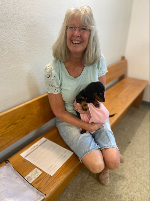 Customer photo of Dachshund, Mini puppy from Jill C. 