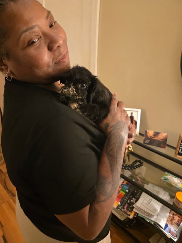 Customer photo of Schnauzer, Miniature puppy from Dana T.