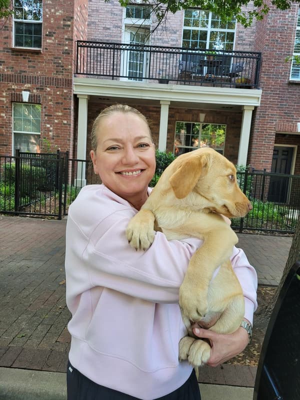 Customer photo of Labrador Retriever puppy from Kelly P.