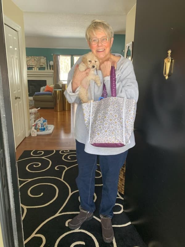 Customer photo of Cockapoo puppy from Dotti T.