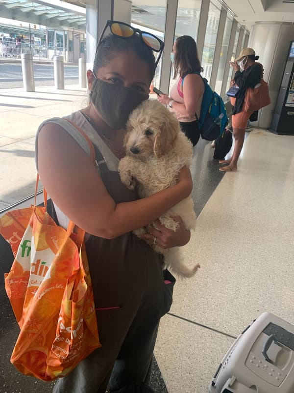 Customer photo of Labradoodle puppy from Monica G.