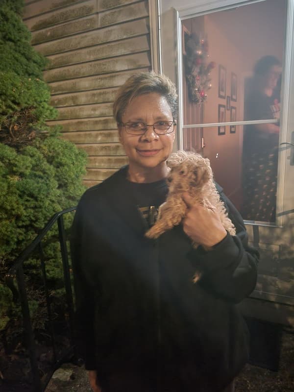 Customer photo of Malti Poo - Maltipoo puppy from Deanna H.