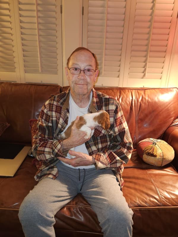 Customer photo of Cavalier King Charles Spaniel puppy from Tommy J.