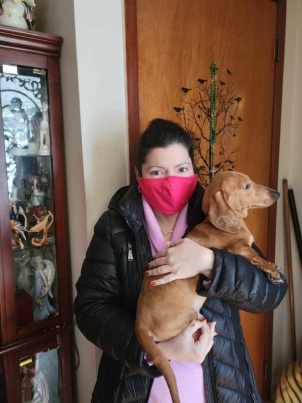 Customer photo of Dachshund puppy from Marie R.