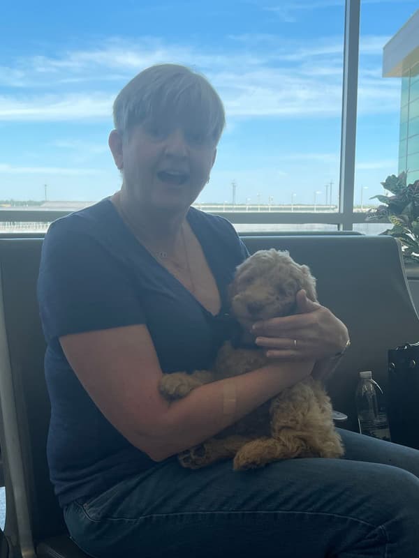 Customer photo of Labradoodle puppy from Jerry S. 
