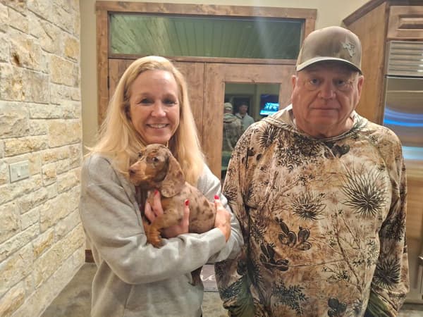 Customer photo of Dachshund, Smooth puppy from Jackie L.