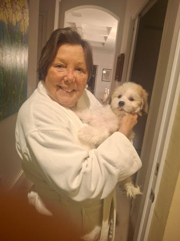 Customer photo of Havanese puppy from Wendy J.