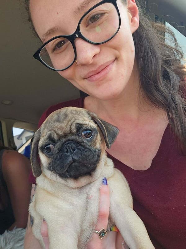 Customer photo of Pug puppy from Sierra F.