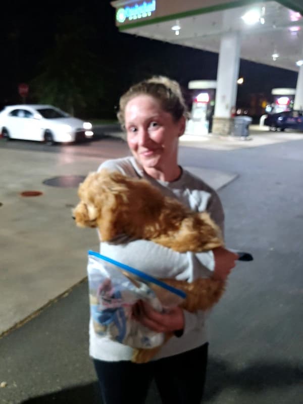 Customer photo of Irishdoodle puppy from Jessica M.