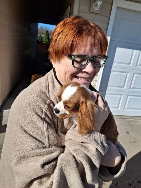 Customer photo of Cavalier King Charles Spaniel puppy from Letitia D.