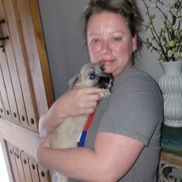 Customer photo of Schnauzer, Miniature puppy from Abby C. 