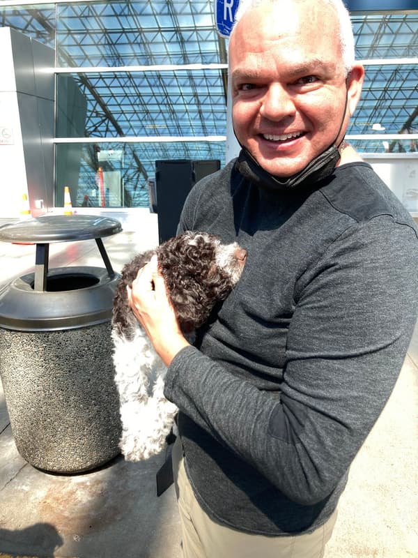 Customer photo of Lagotto Romagnolo puppy from Edward S.