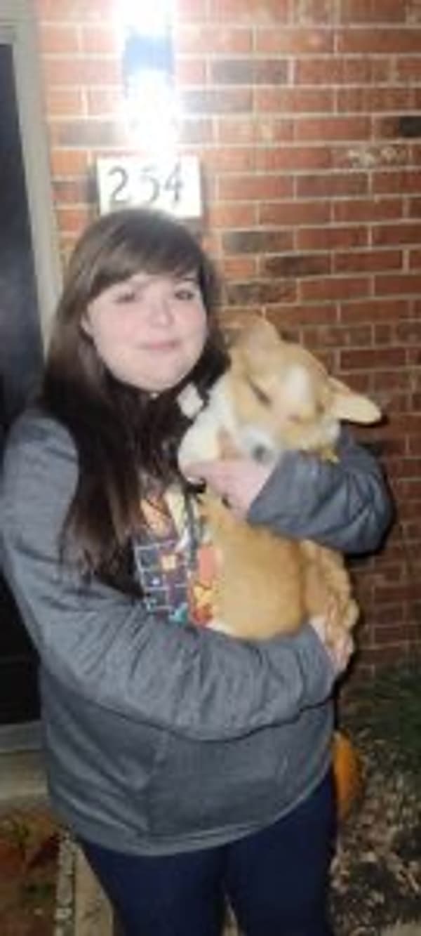 Customer photo of Corgi, Pembroke Welsh puppy from Jessie B.