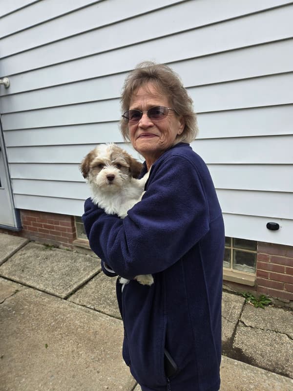 Customer photo of Havanese puppy from Doreen A.