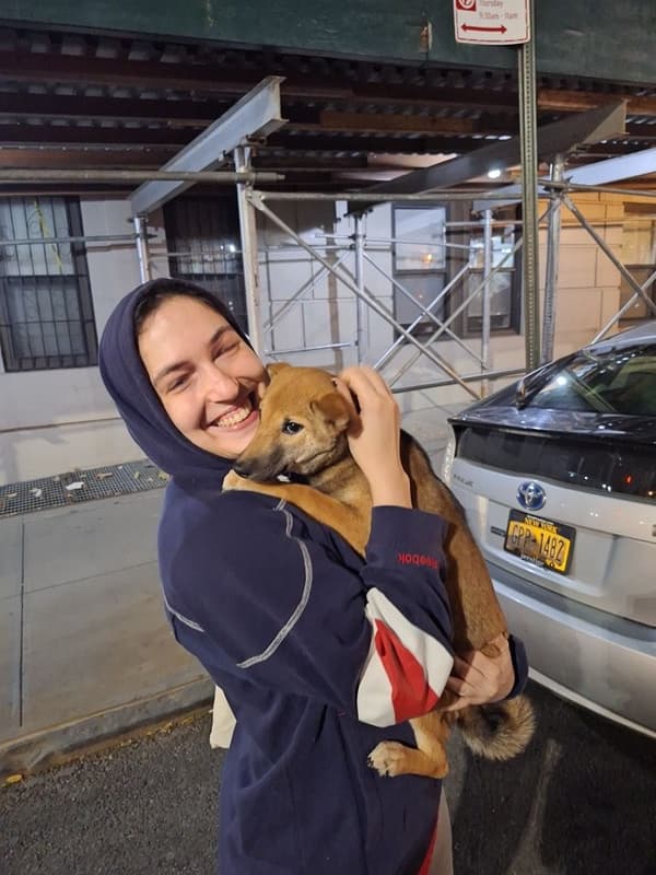 Customer photo of Shiba Inu puppy from Bat-Or R.