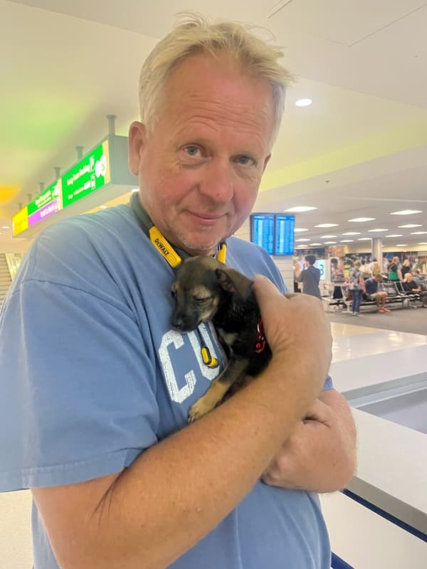 Customer photo of Chihuahua puppy from James L. 