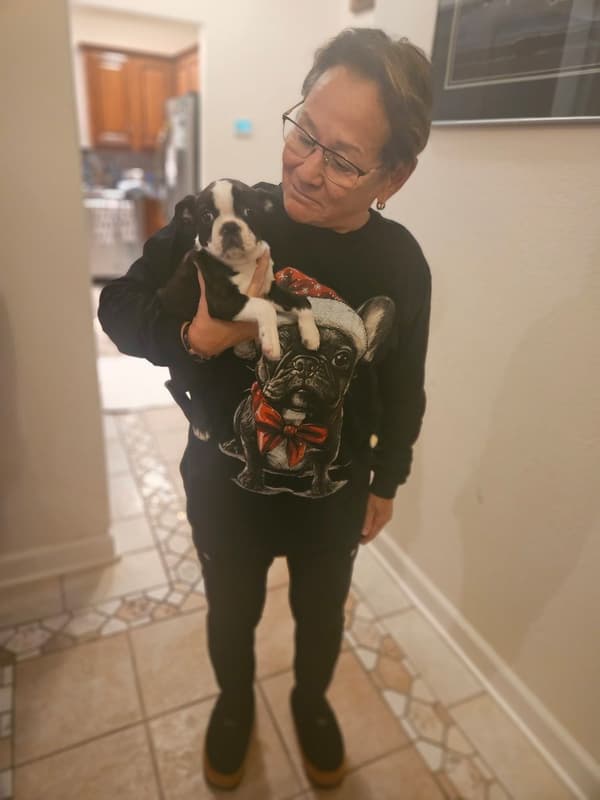 Customer photo of Boston Terrier puppy from Linda W.