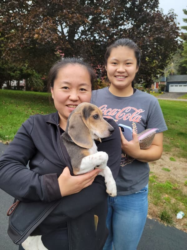 Customer photo of Beagle puppy from Jie L.