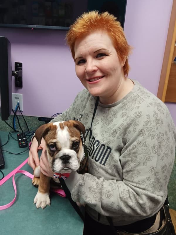 Customer photo of English Bulldog puppy from Janelle C.