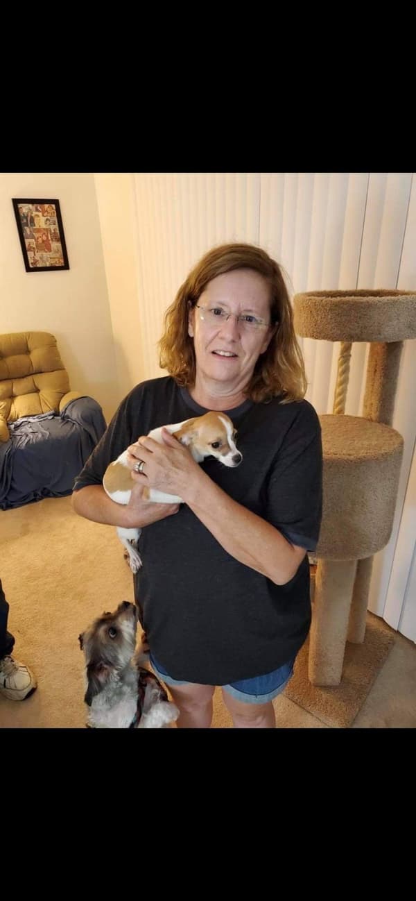 Customer photo of Chihuahua puppy from Sherry L.