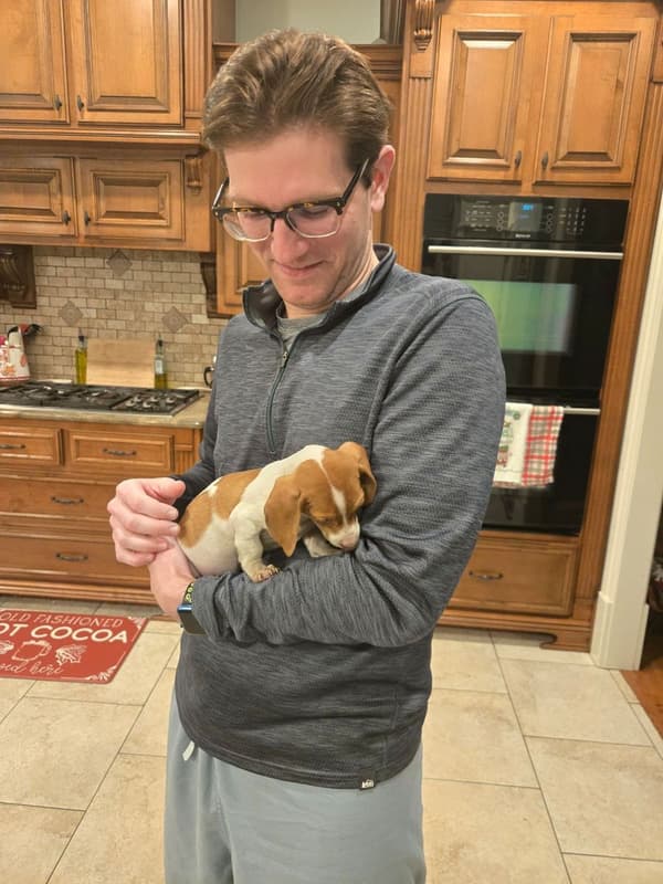 Customer photo of Dachshund, Mini puppy from William A.
