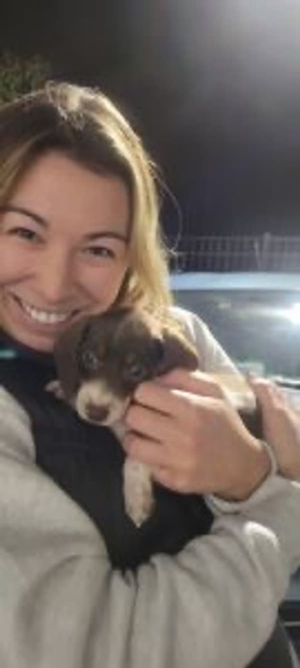 Customer photo of Dachshund, Mini puppy from Angelina D.