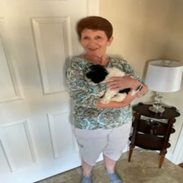 Customer photo of Poodle, Miniature puppy from Pamela P. 