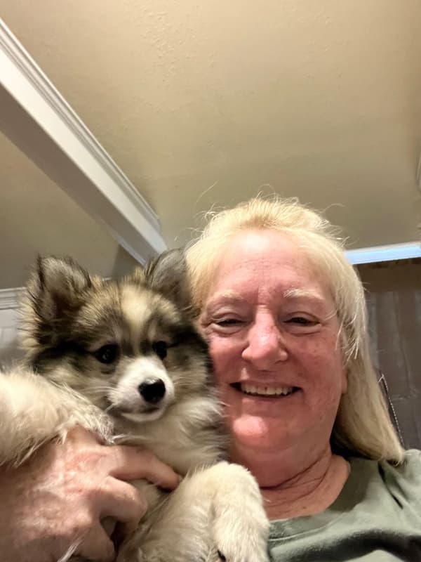 Customer photo of Pomsky puppy from Kay L.