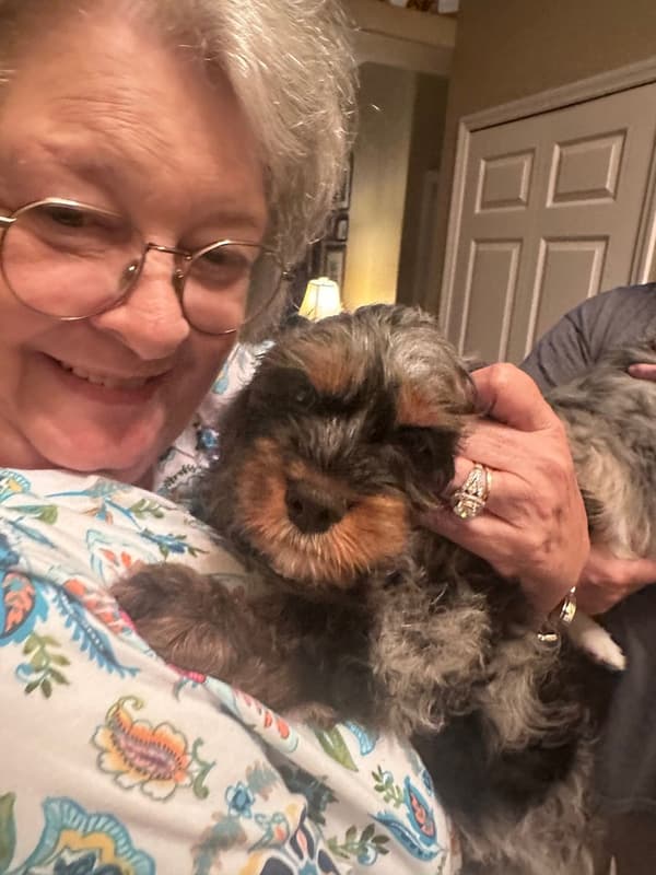 Customer photo of Cockapoo puppy from Jack B.