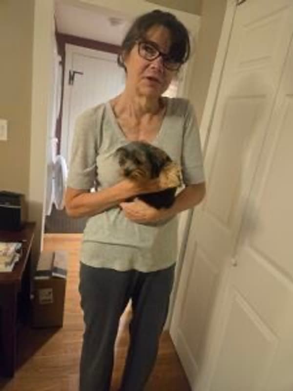 Customer photo of Yorkshire Terrier - Yorkie puppy from Sharon K.