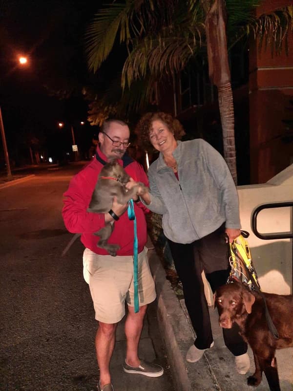 Customer photo of Labrador Retriever puppy from Renata R.