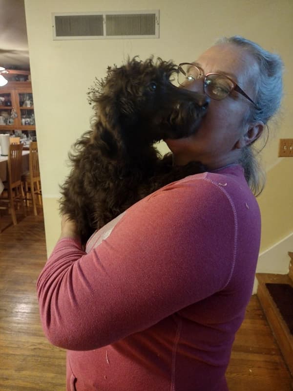 Customer photo of Labradoodle puppy from Jutta S. 