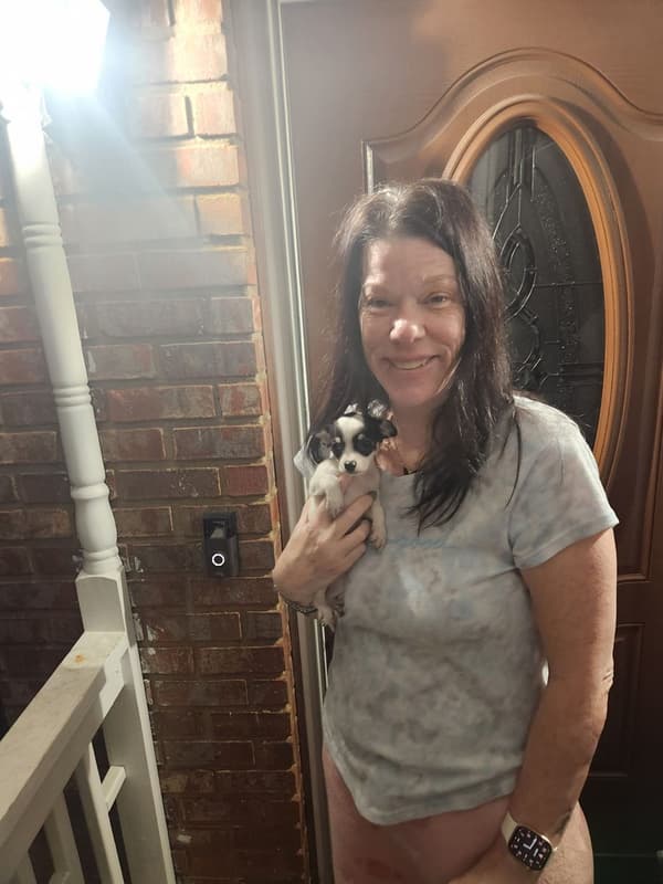 Customer photo of Chihuahua puppy from Stephanie K.