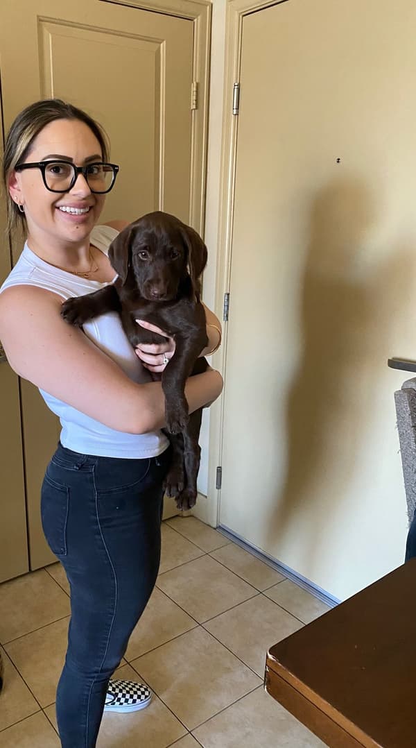 Customer photo of Labradoodle puppy from Shannon N.