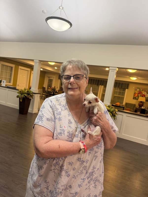 Customer photo of Chihuahua puppy from Theresa T.