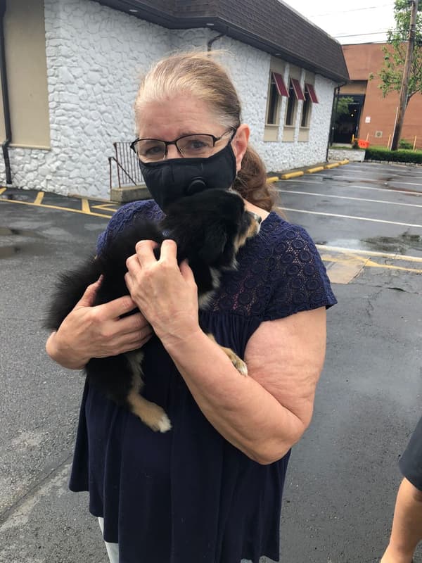 Customer photo of Miniature Australian Shepherd puppy from Elvira E.