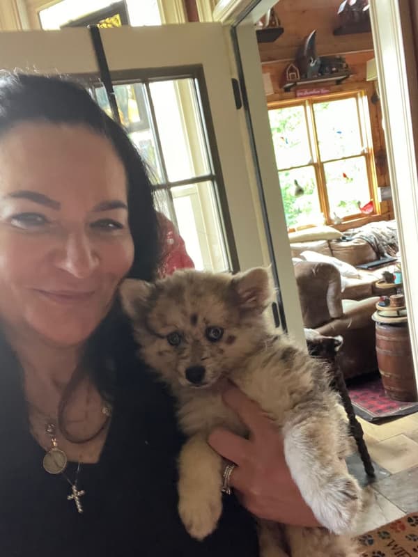 Customer photo of Pomsky puppy from Tammi S.