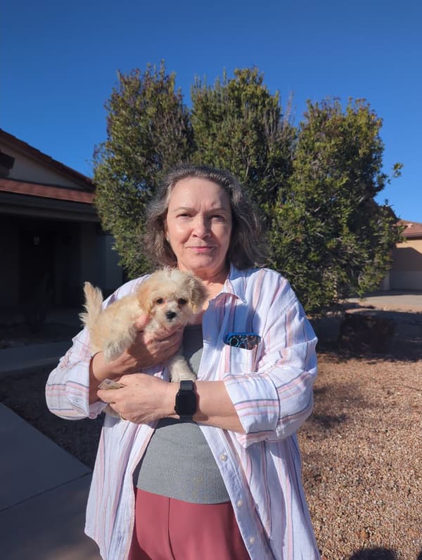 Customer photo of Malti Poo - Maltipoo puppy from Heloisa F.