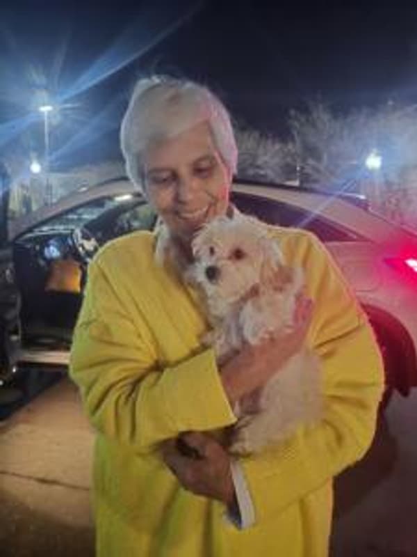 Customer photo of Malti Poo - Maltipoo puppy from Elizabeth H.