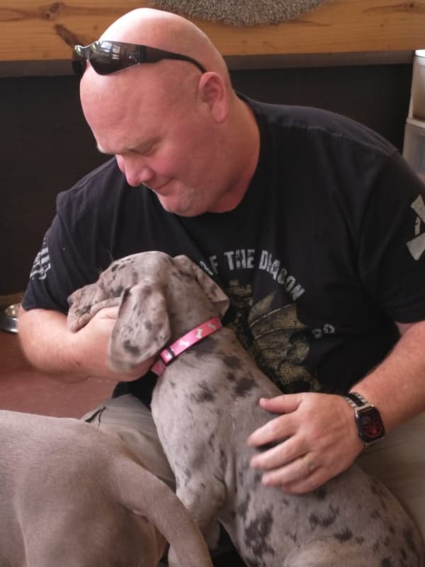 Customer photo of Great Dane puppy from Serena D.