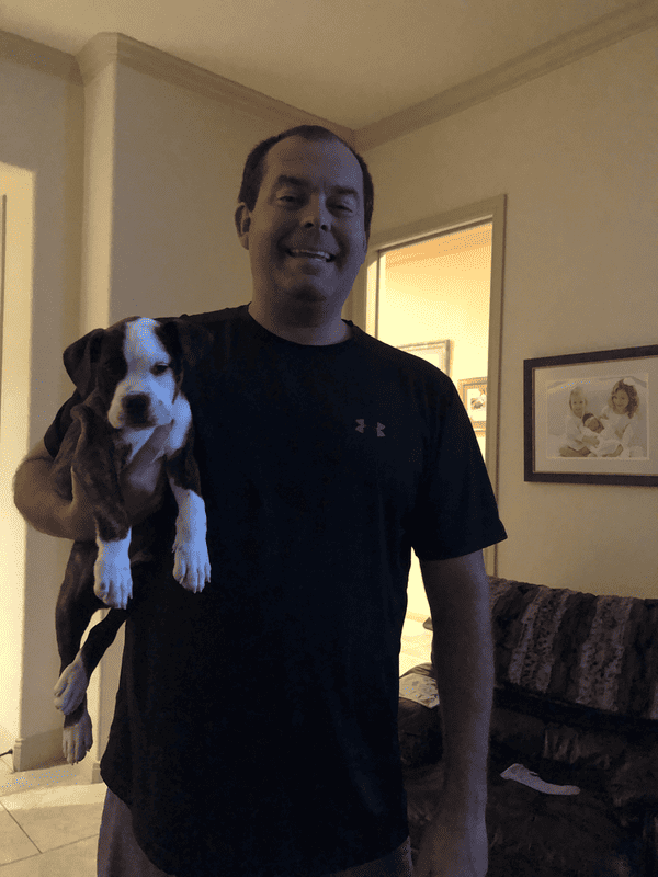 Customer photo of Olde English Bulldogge puppy from Randy G.