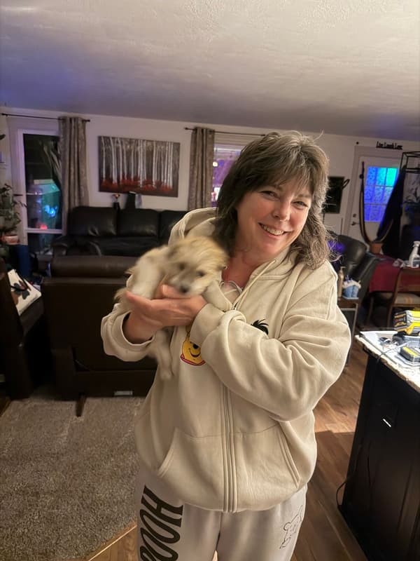 Customer photo of Havanese puppy from Sarah E.
