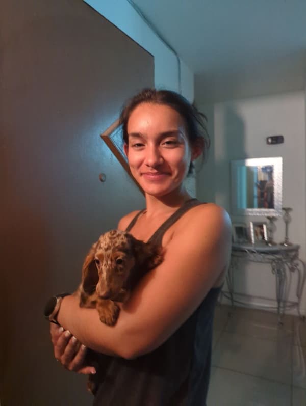 Customer photo of Dachshund, Mini puppy from Shirley R.