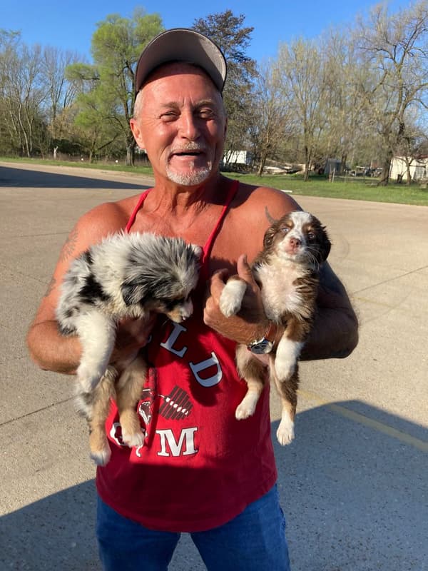 Customer photo of Australian Shepherd puppy from Russell R.