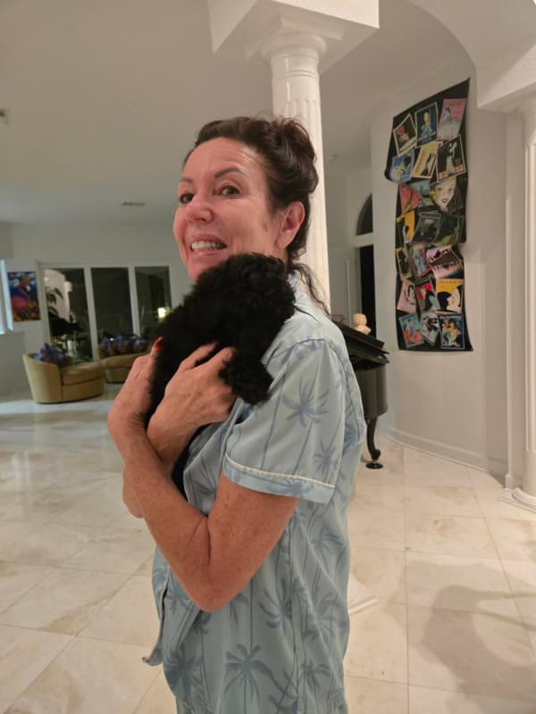 Customer photo of Poodle, Toy puppy from Tracy H.