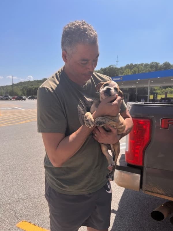 Customer photo of Olde English Bulldogge puppy from Darrin F. 