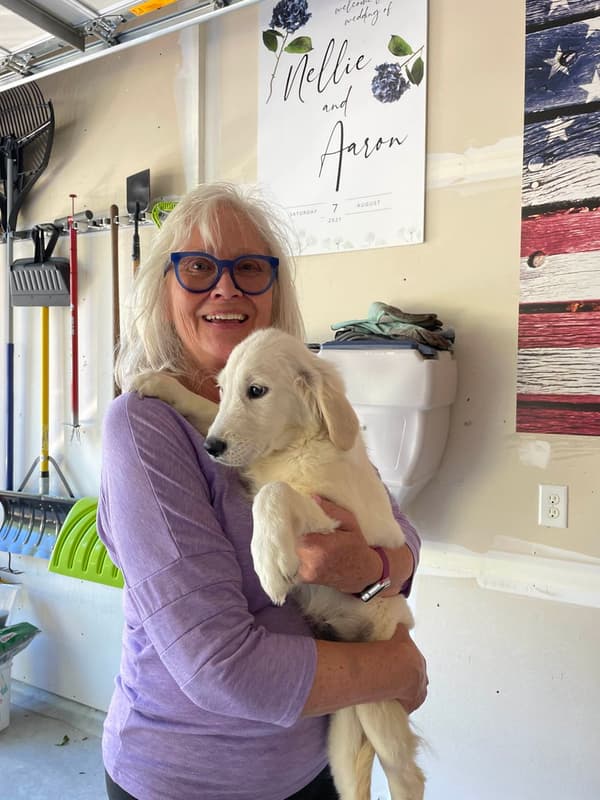 Customer photo of Golden Retriever puppy from Dana M.
