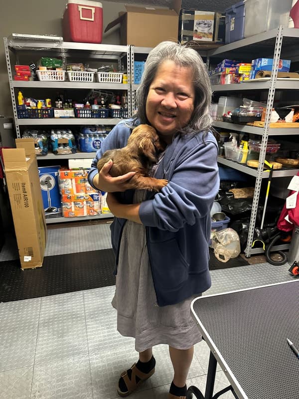 Customer photo of Dachshund, Mini puppy from Jenny S.