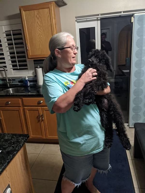 Customer photo of Poodle, Standard puppy from Elizabeth A.